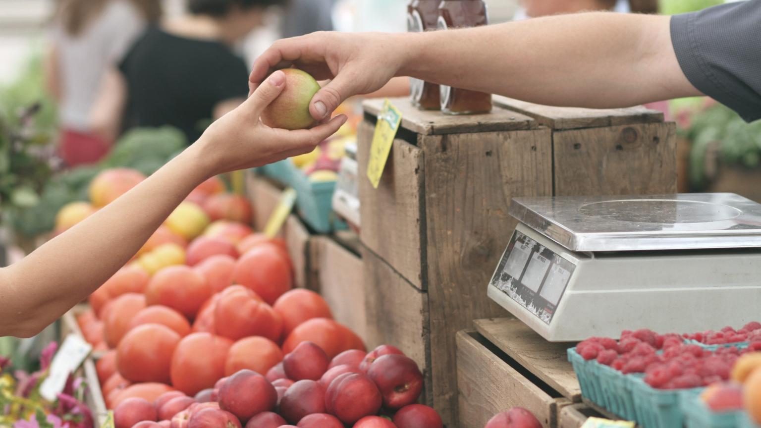 Farmer's market purchasing fruit