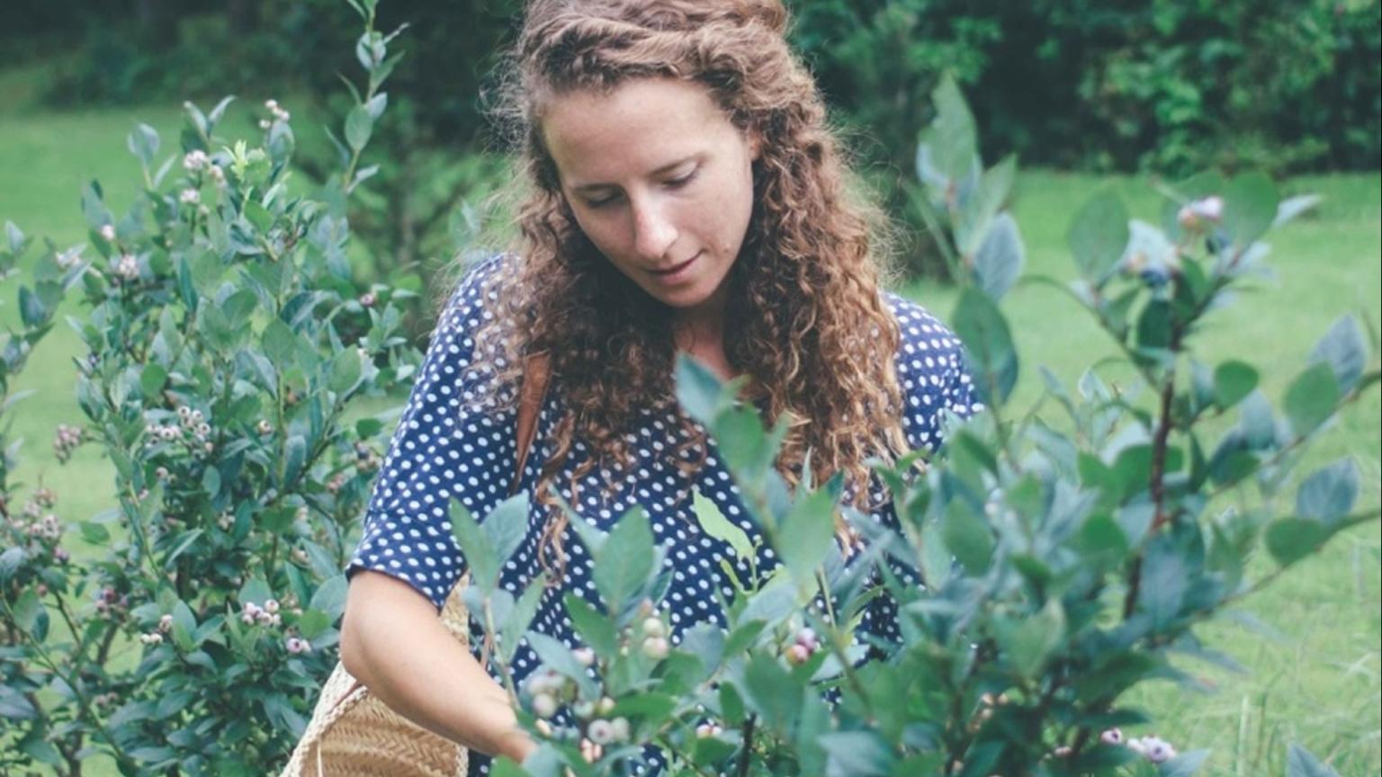 Meg Faletra Blueberry Picking