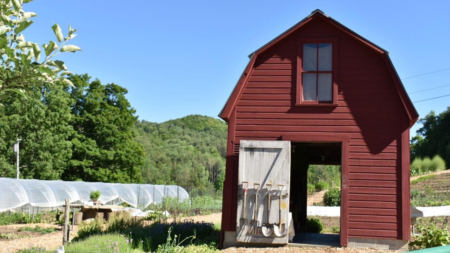 Shed at Kelly Way Gardens
