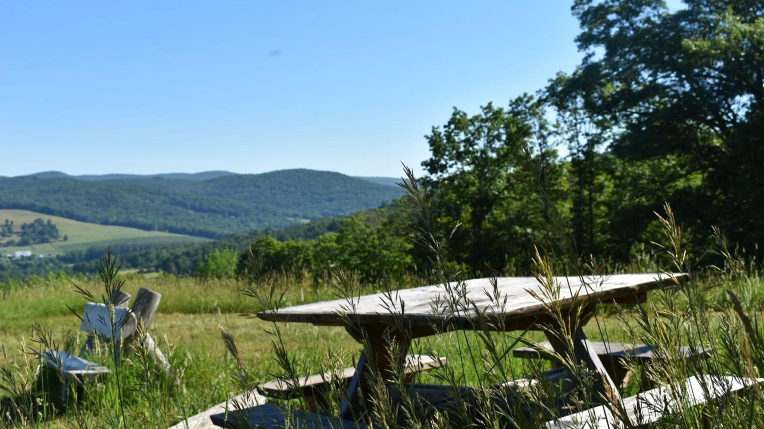 Mount Peg Picnic Spot