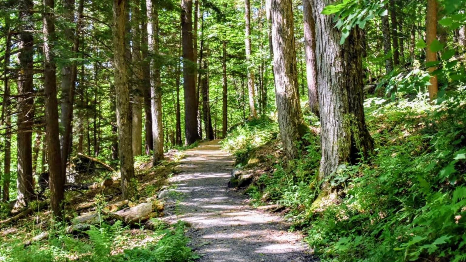Start of the Faulkner Trail