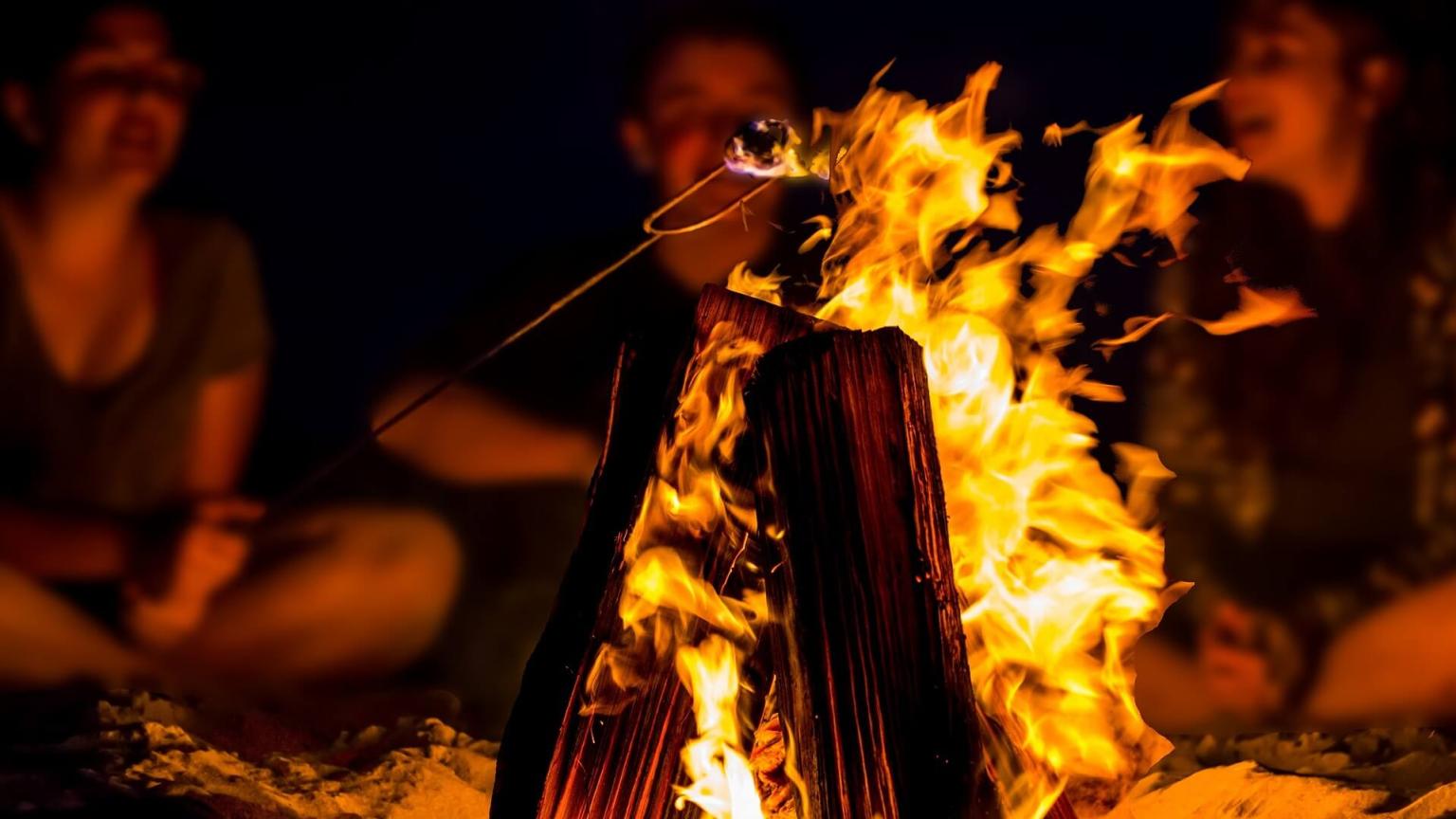 Campers summer bonfire