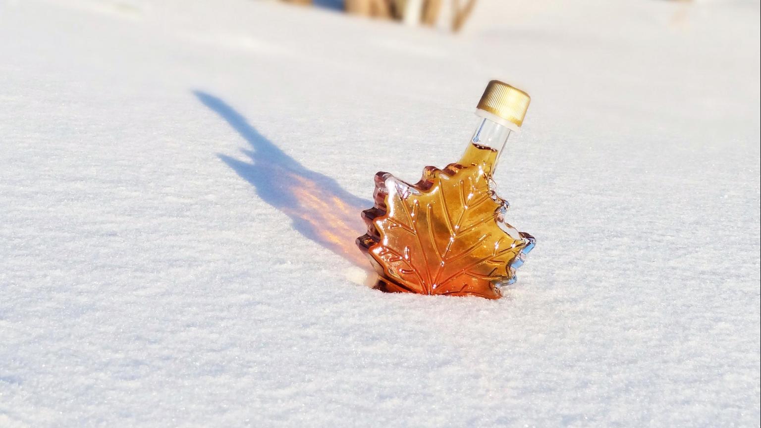 Maple Syrup