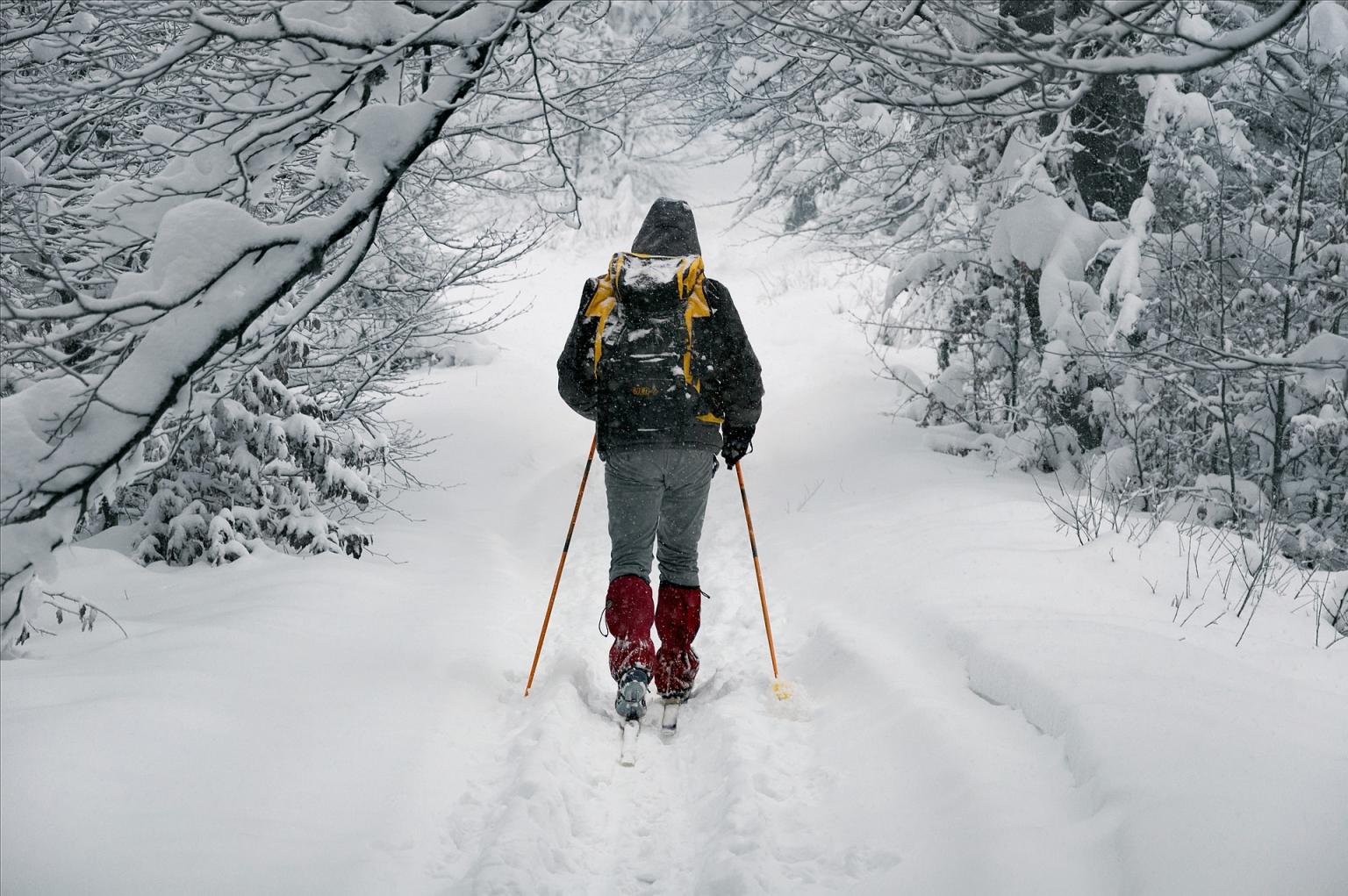 Cross Country Skiing