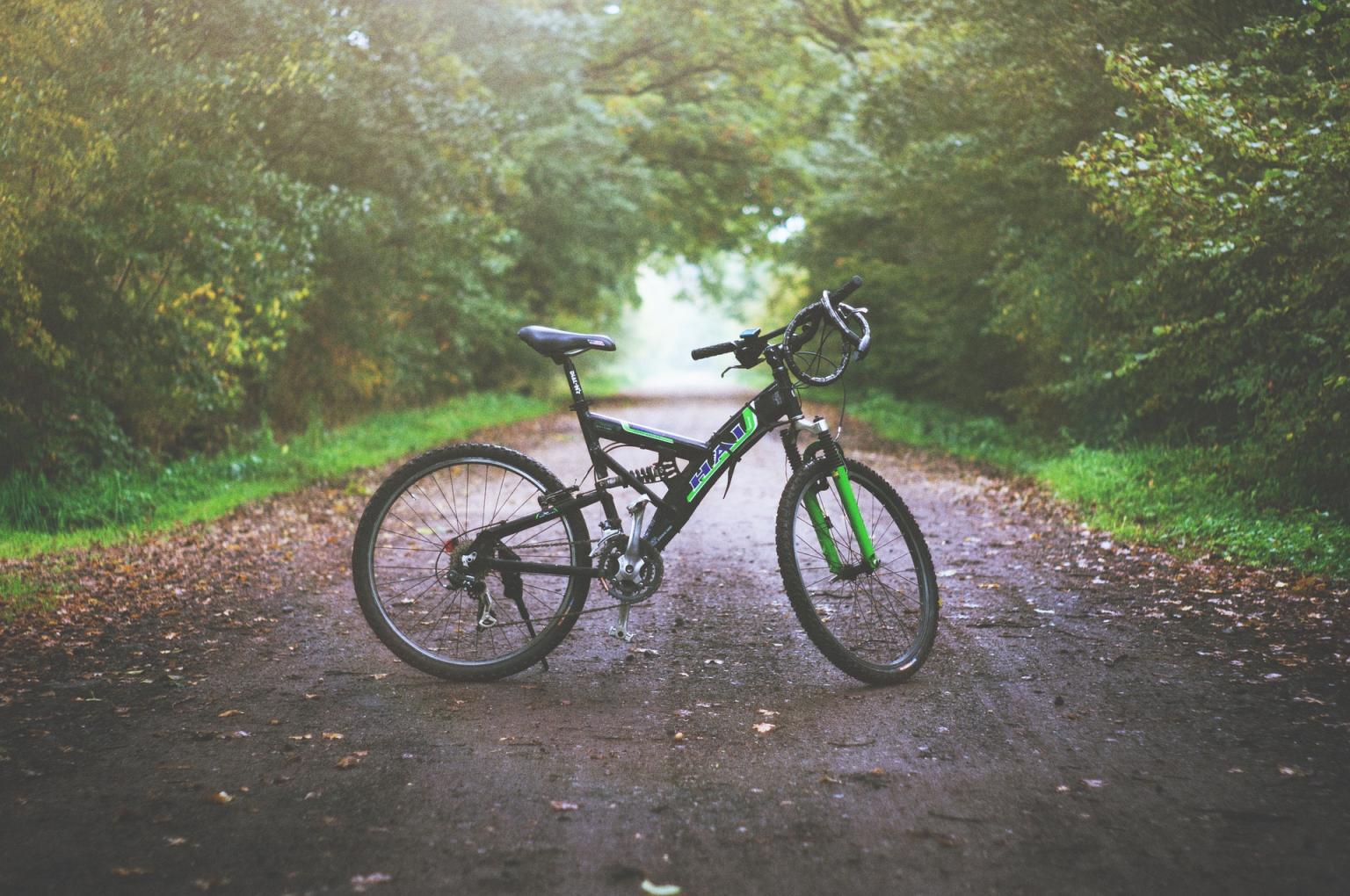 Mountain Biking