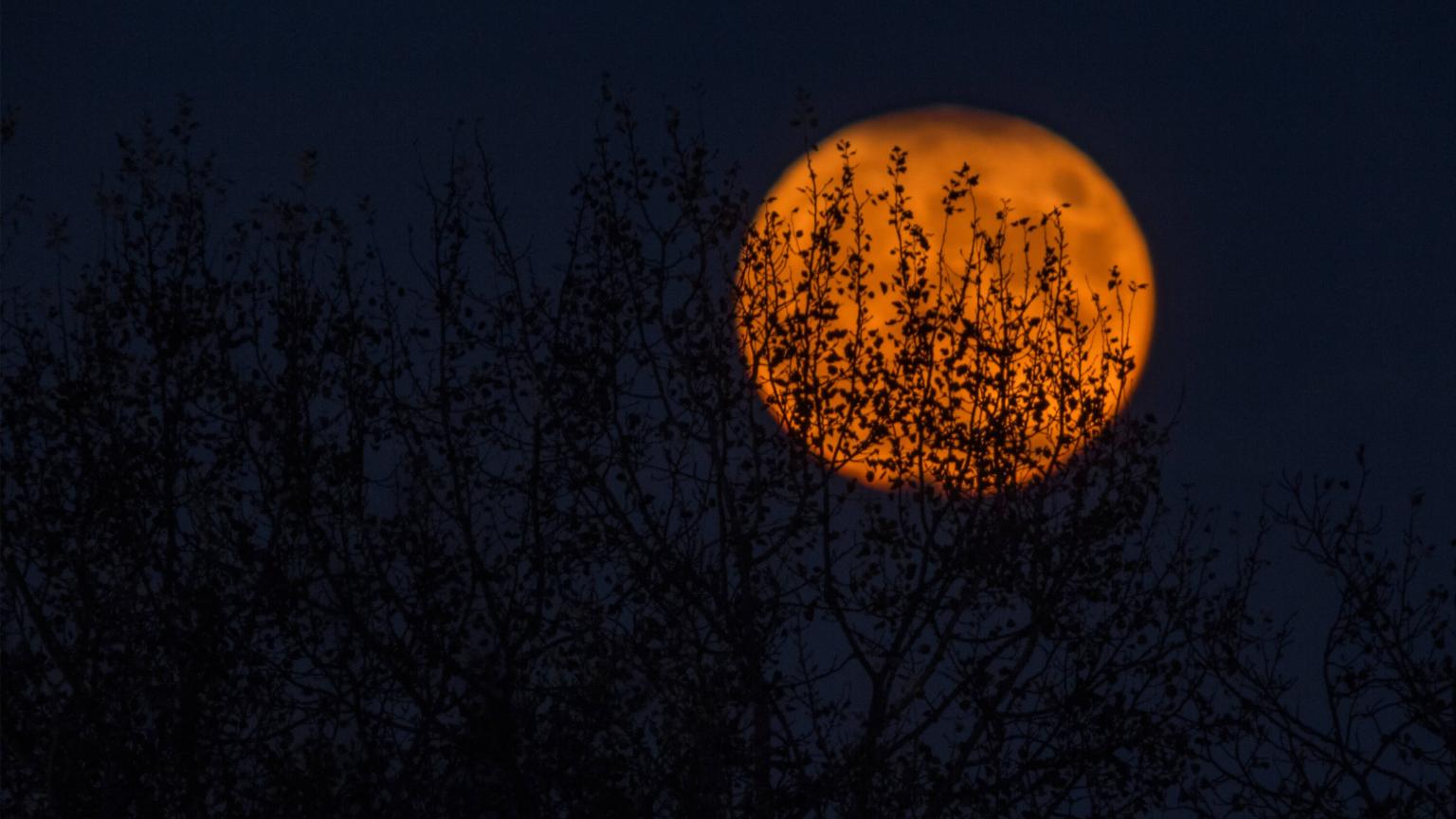 Spooky yellow moon
