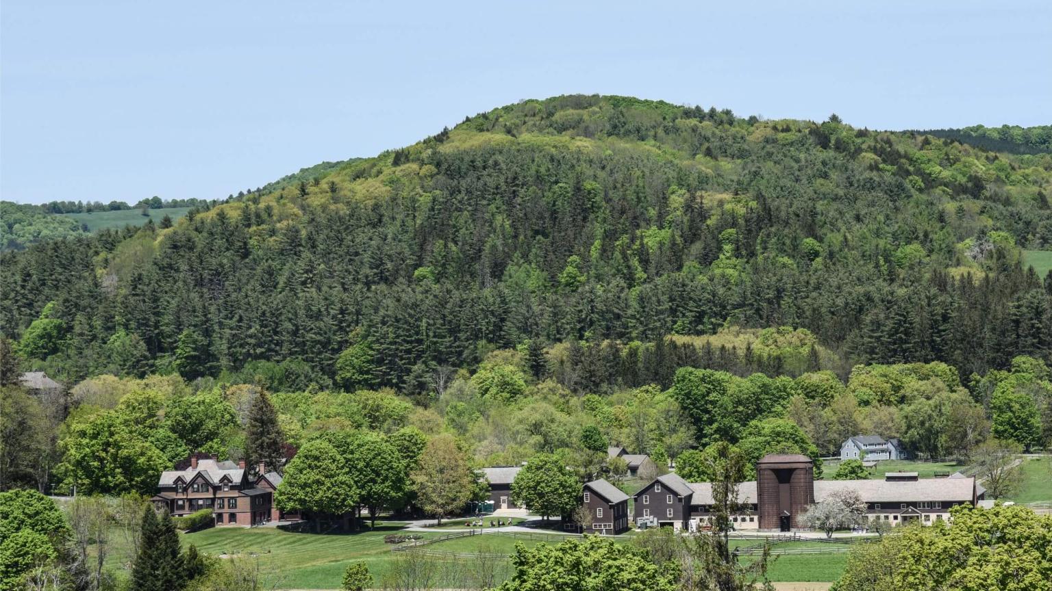 Billings Farm in summer
