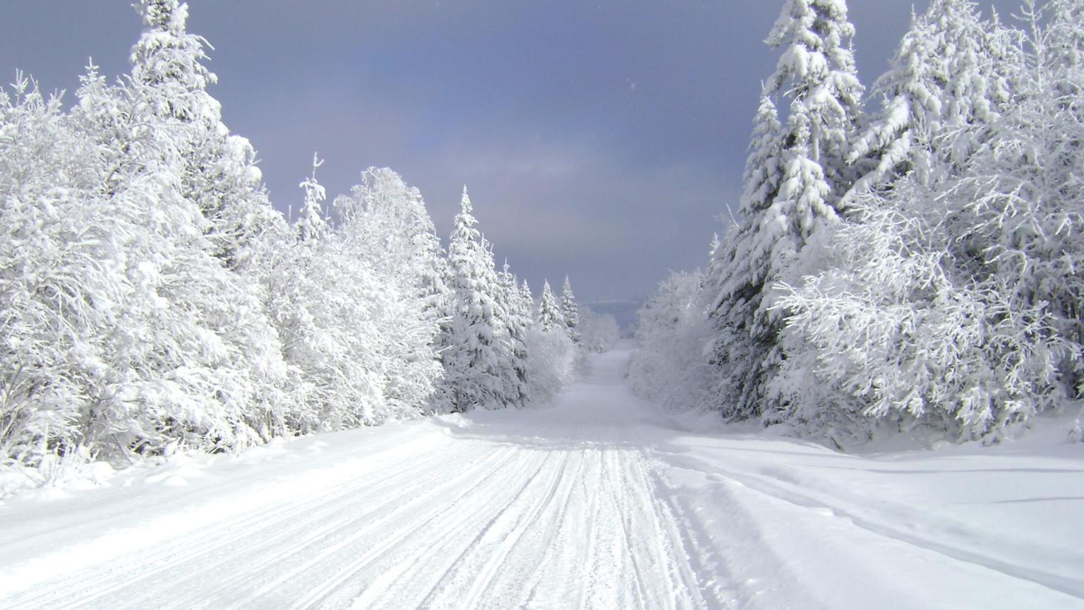 Snowmobile Trails