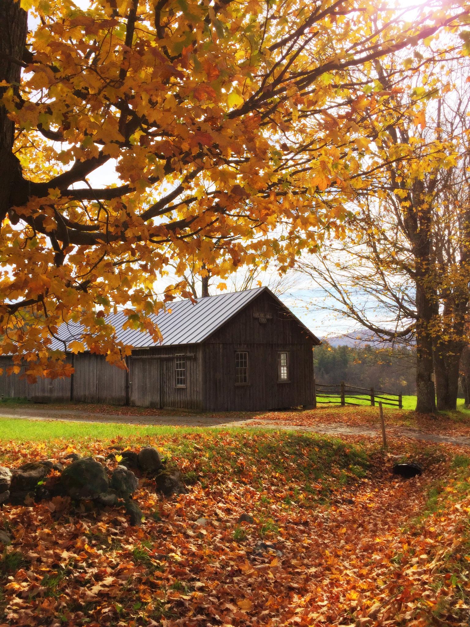 Woodstock Vermont