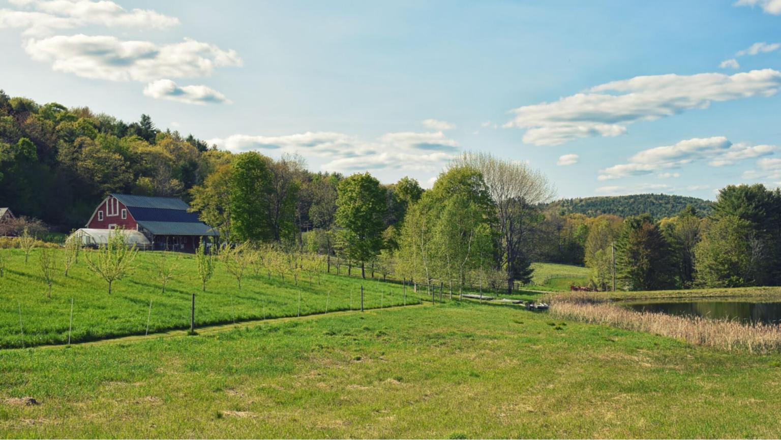 Sunrise Farm