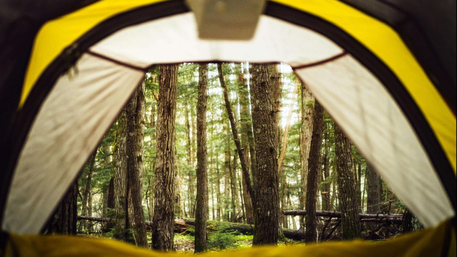Inside tent camping