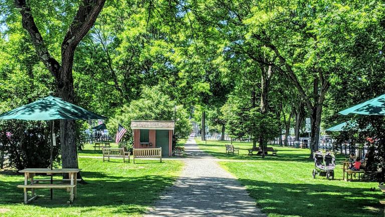 The village green in summer