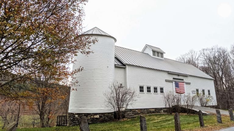 Golden Cow Barn in fall autumn