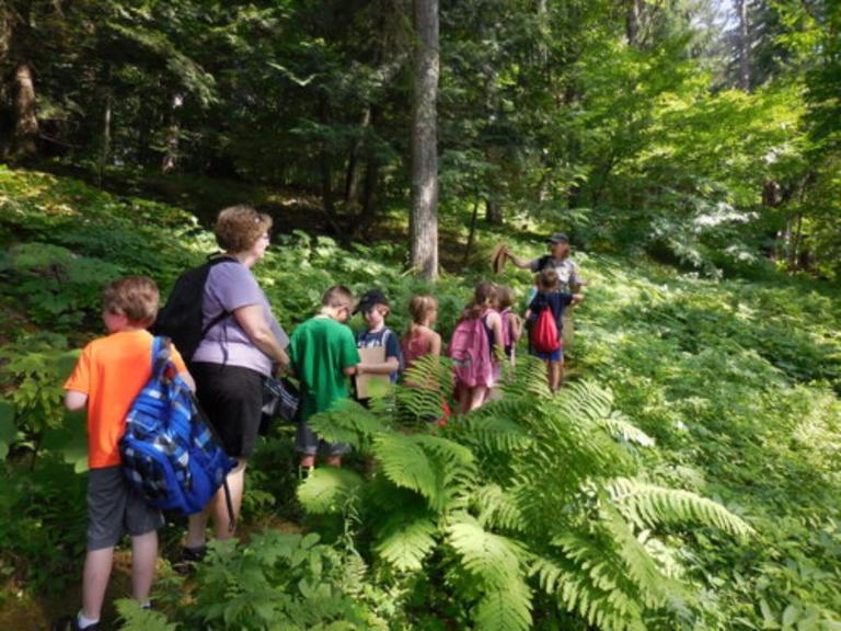 Hikes during Summer SOAK