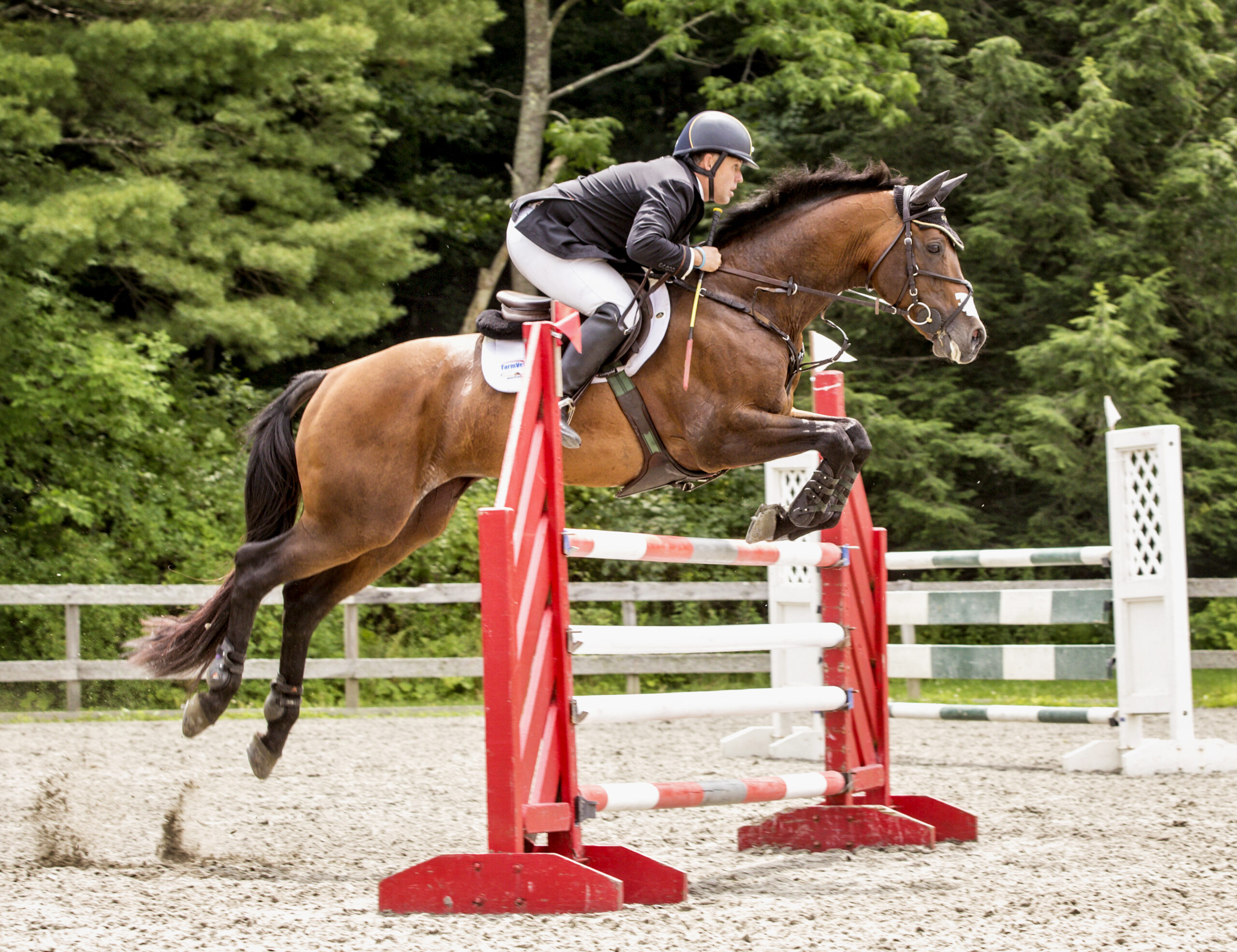 GMHA, Buck Davidson, Eventing