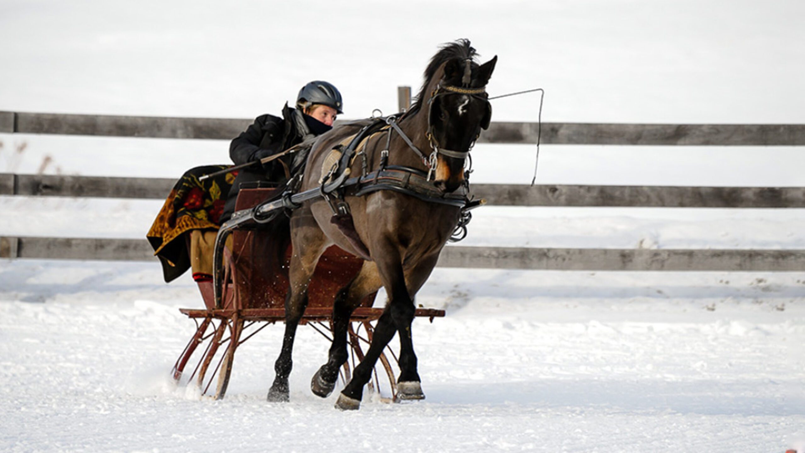 Winter SLeigh Rides at Green Mountain Horse Association