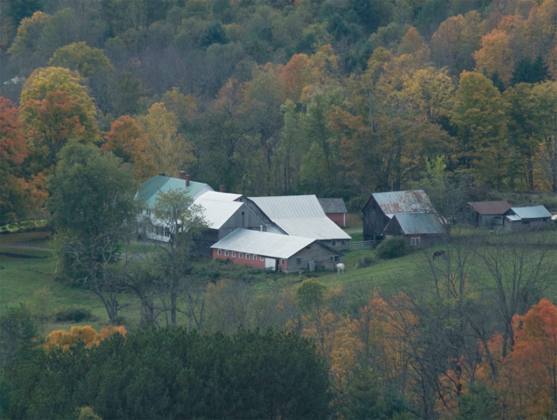 King Farm in Woodstock, Vermont