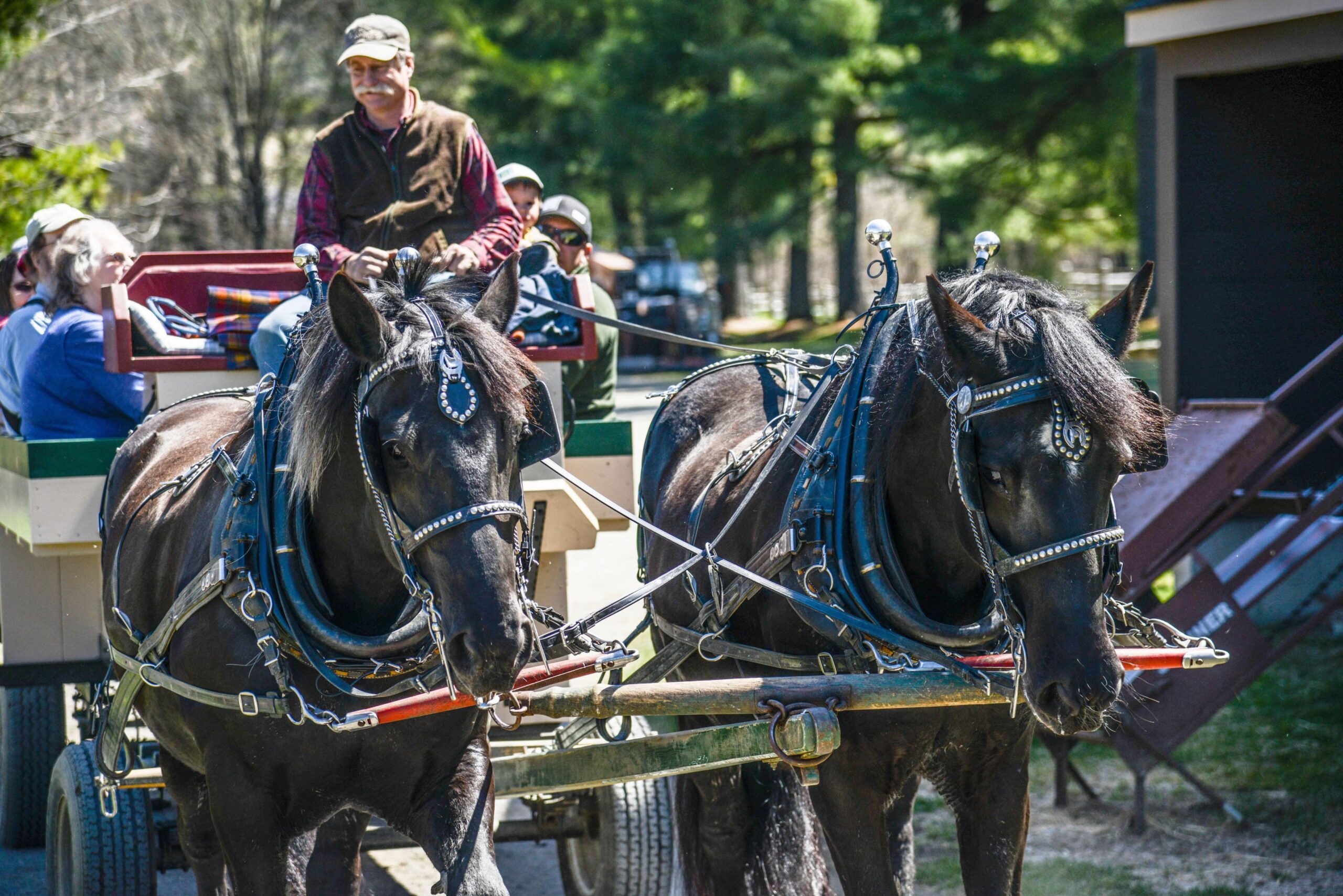 Autumn Wagon Ride Weekend