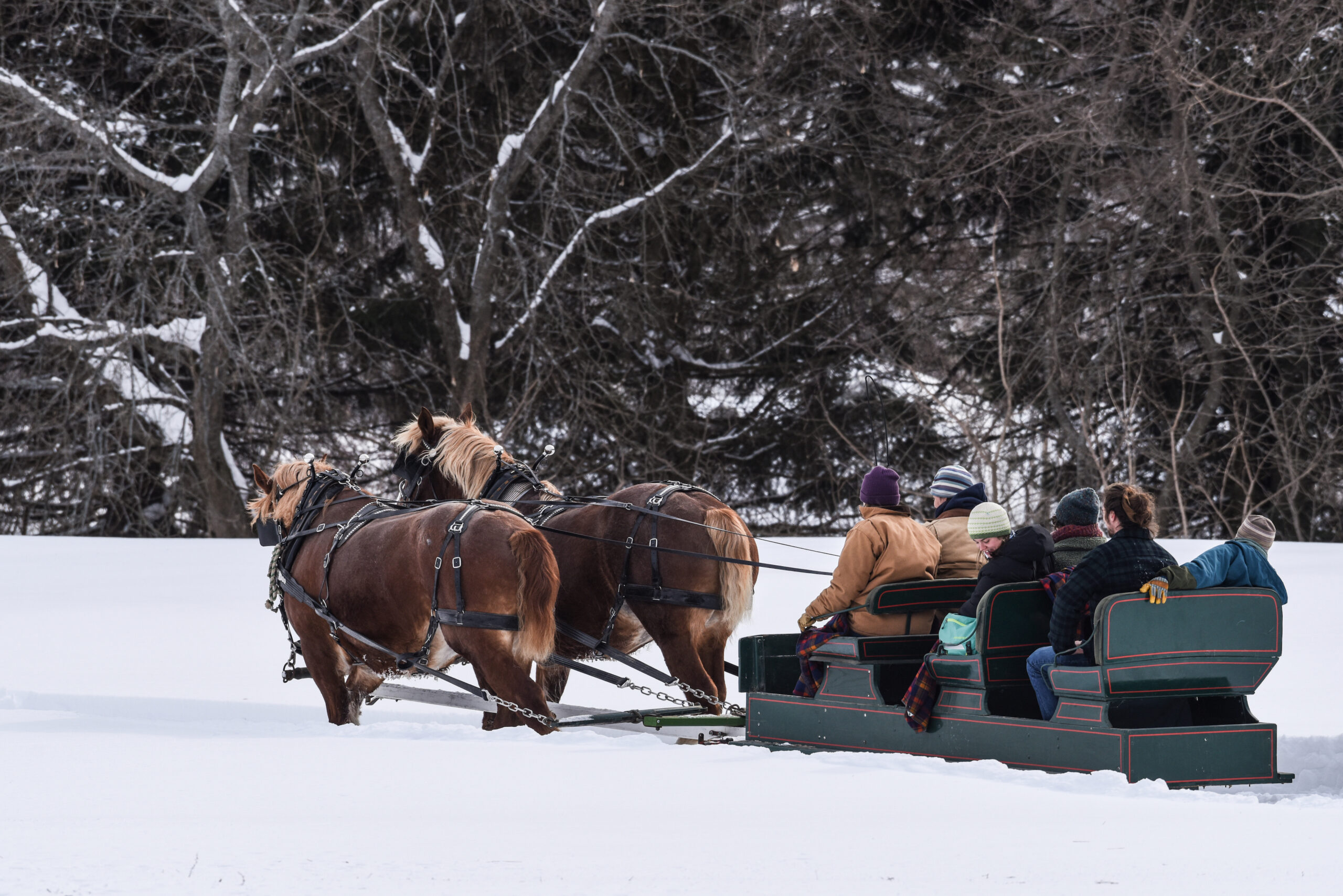 Winter Sleigh Ride