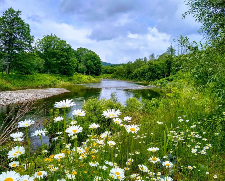 Ottauquechee River with flowers