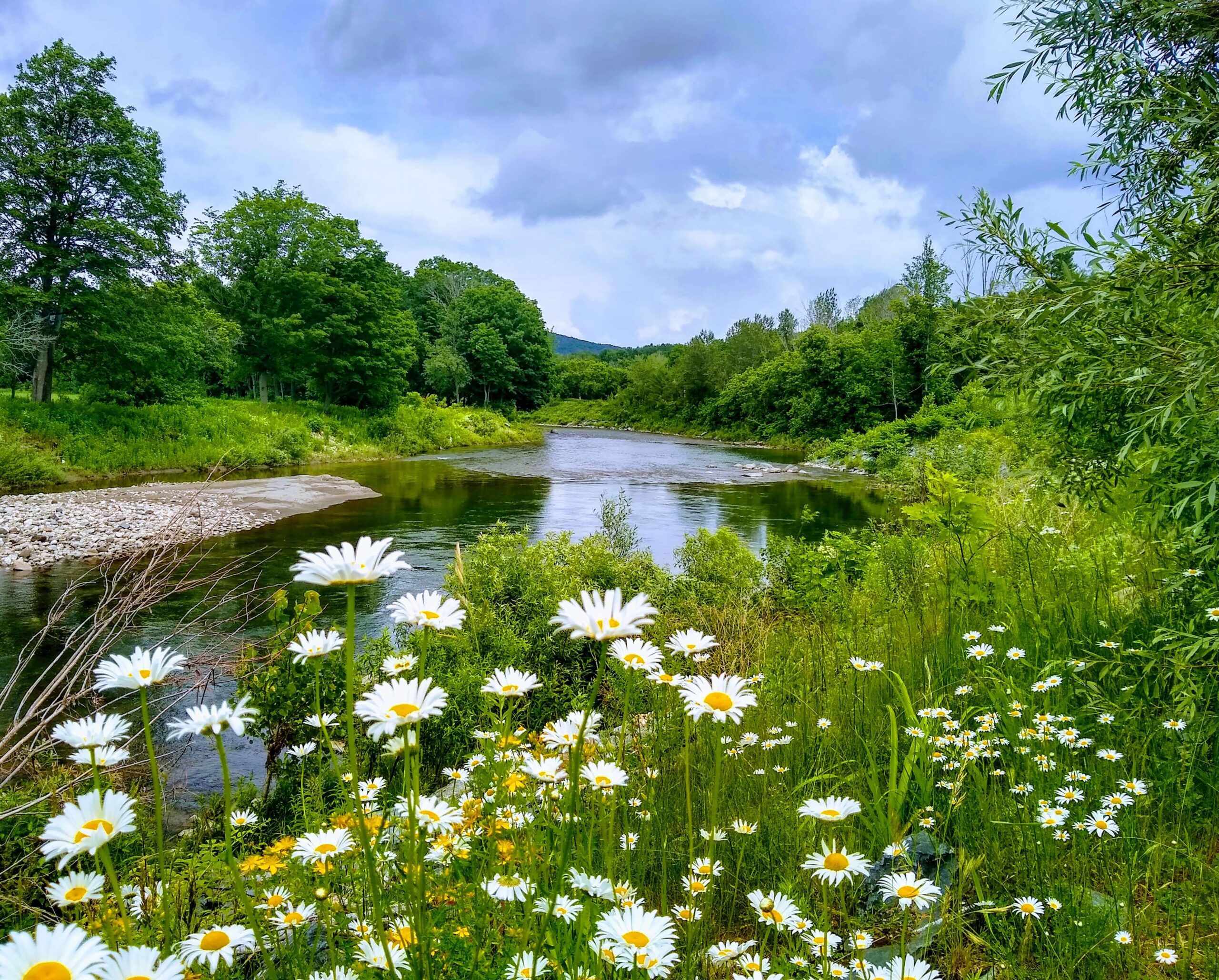 Ottauquechee River with flowers