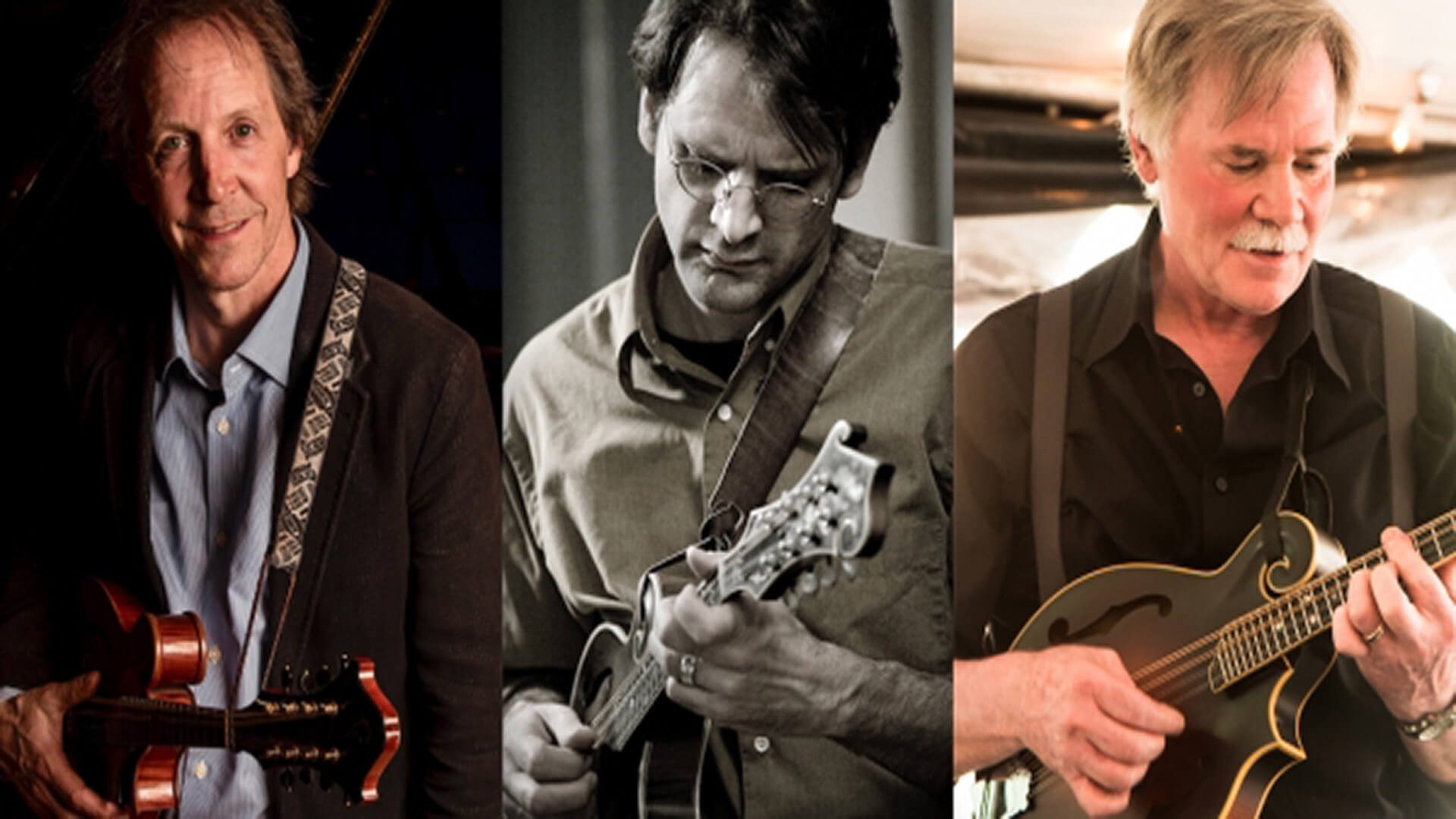 The Vermont Mandolin Trio