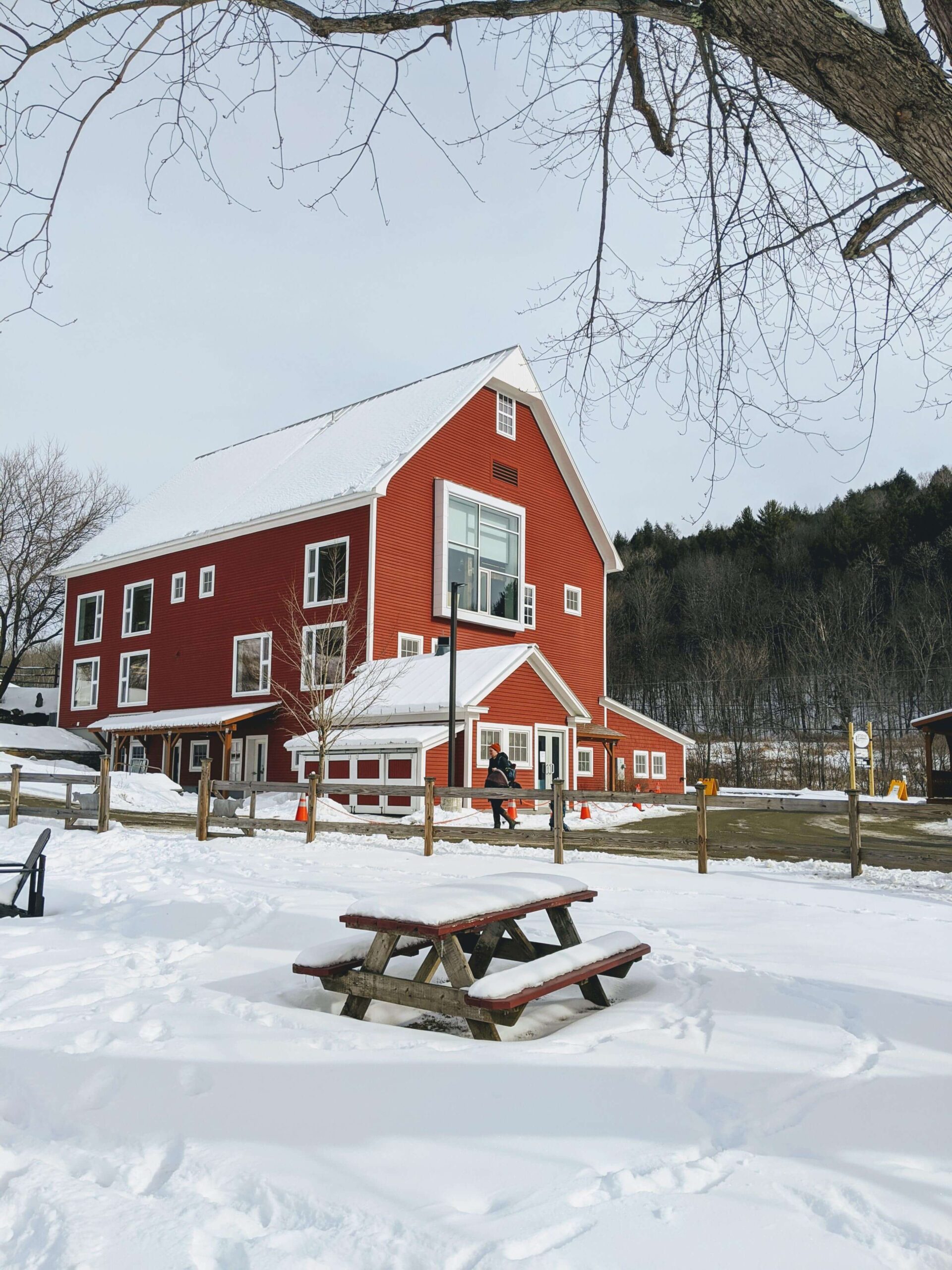 Artistree in snow winter