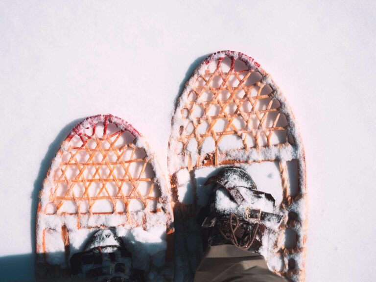 Snowshoe winter