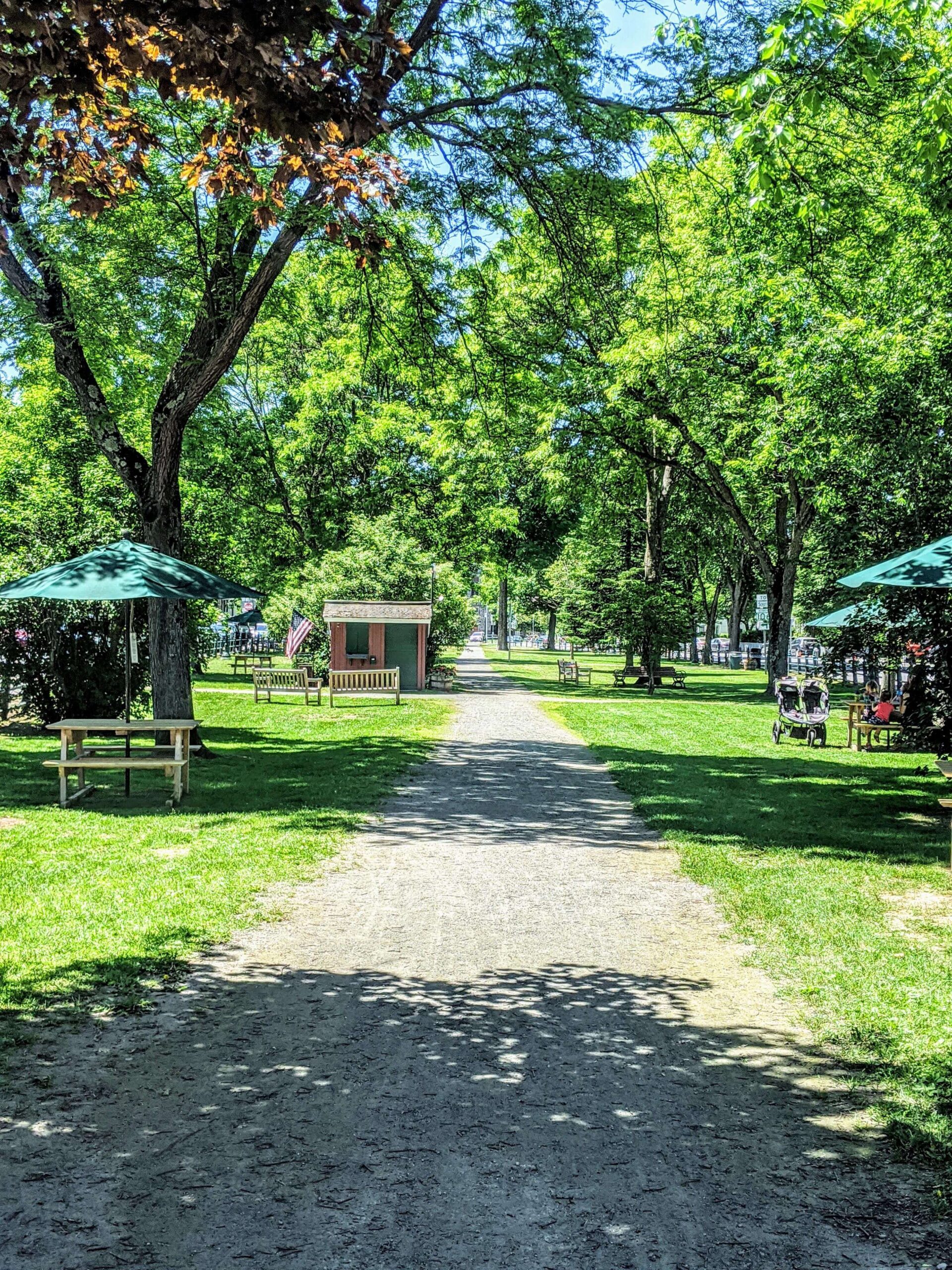 The village green in summer