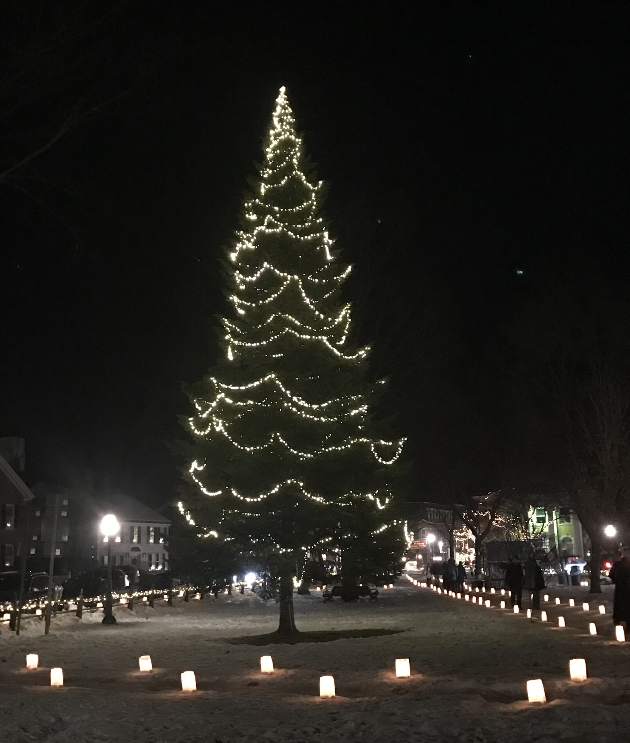 Luminaries Woodstock