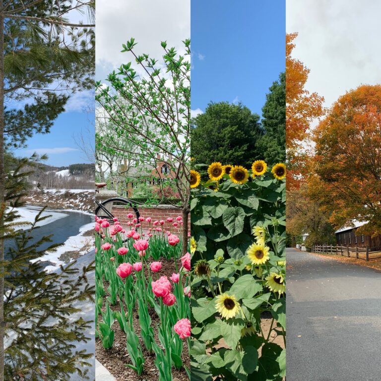 Image of all four Seasons