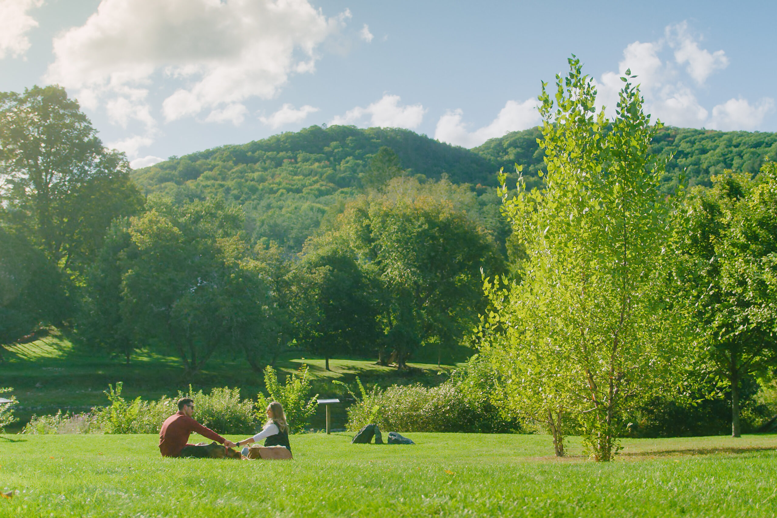Summer Couple Back Lawn History Center