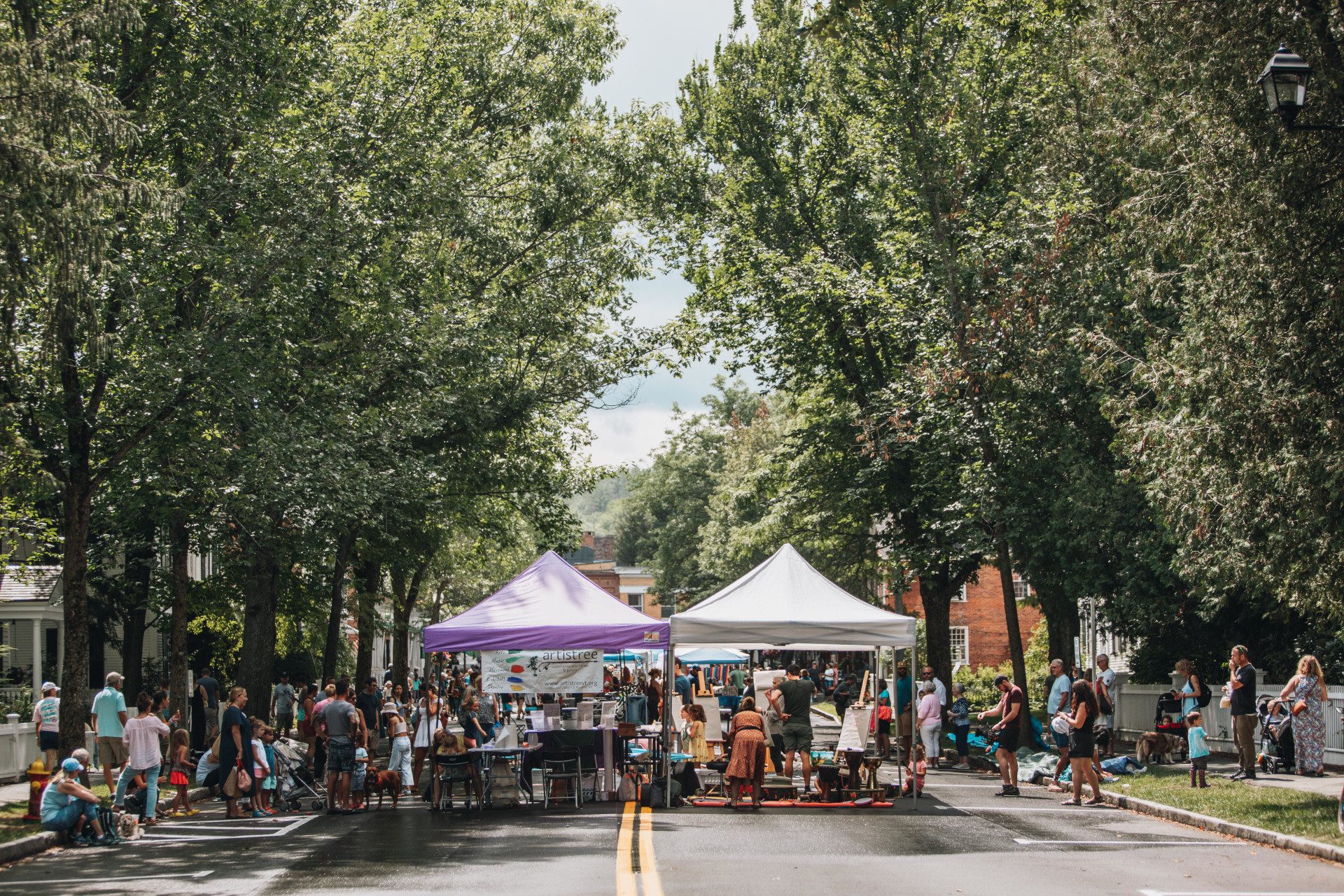 Taste of Woodstock event view