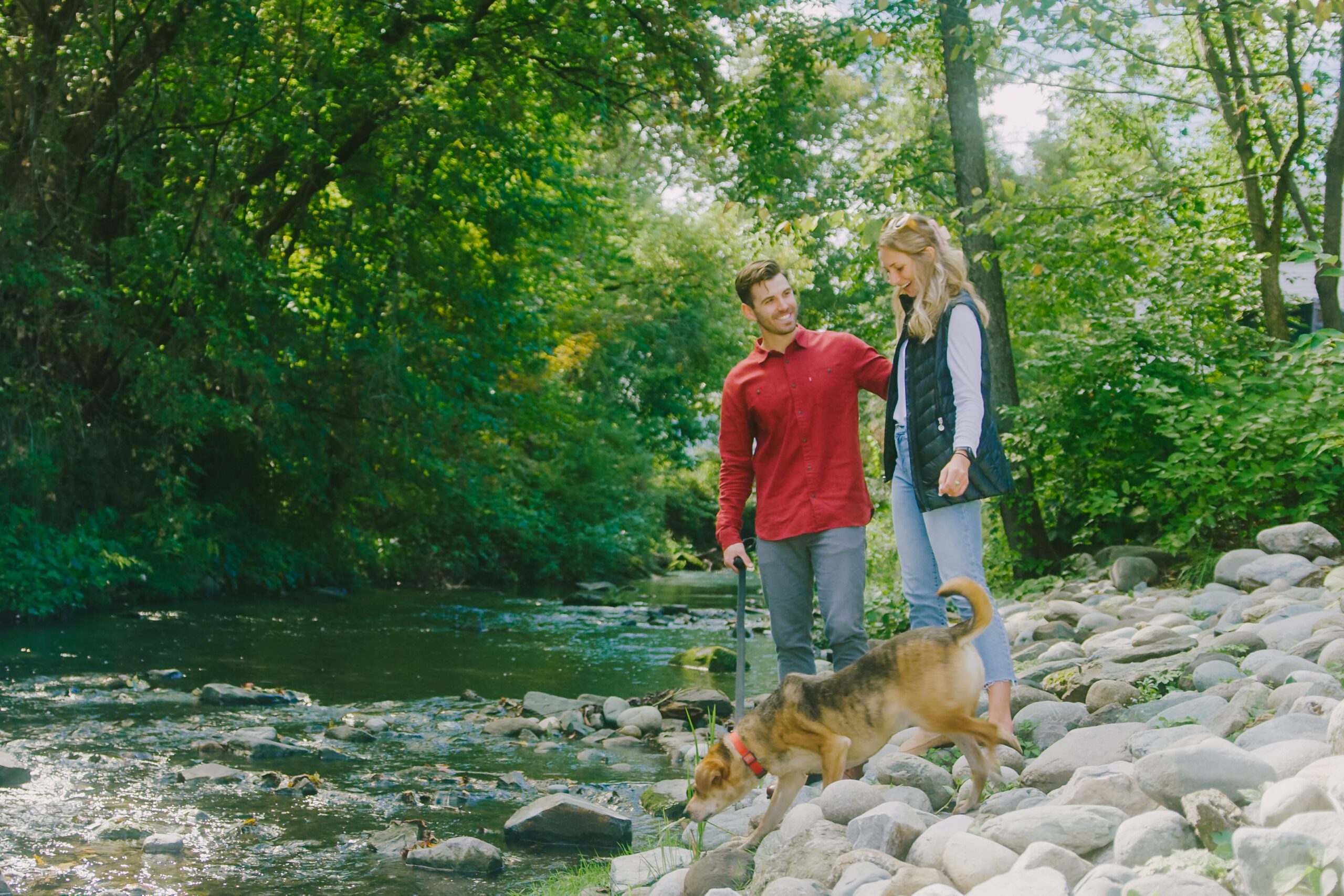 Dog Friendly Hikes in Woodstock, VT