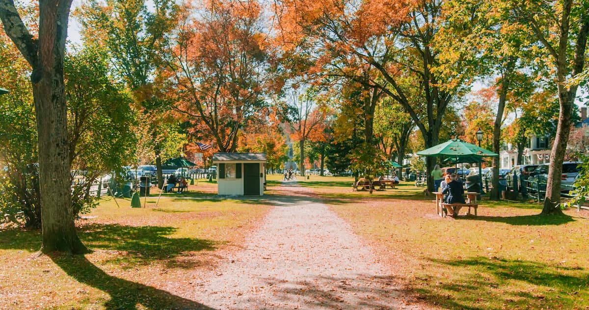 village green fall