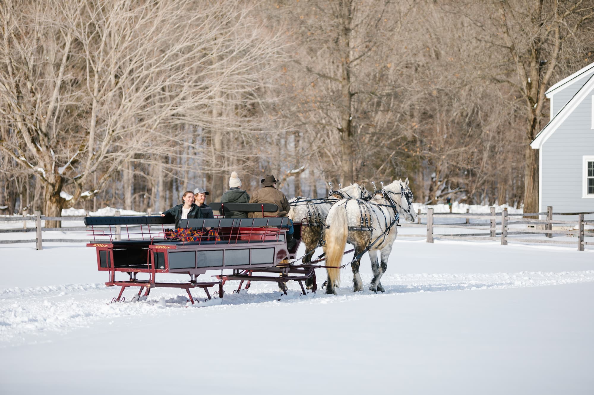 Draft Horse Sleigh Ride