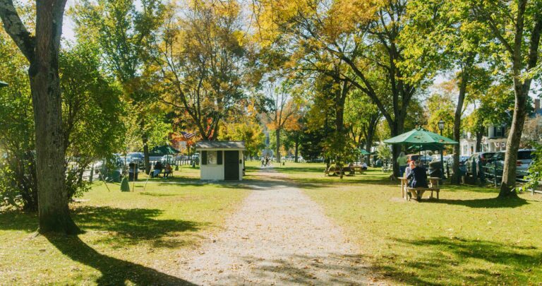The Green During Fall
