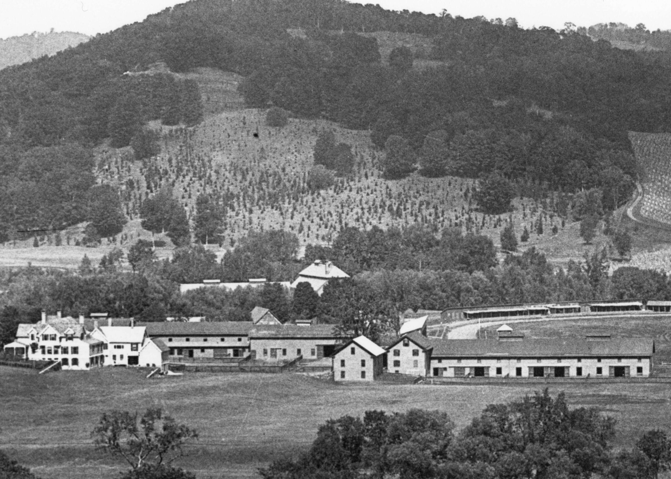 Woodstock History Center Billings Farm photo circa 1900