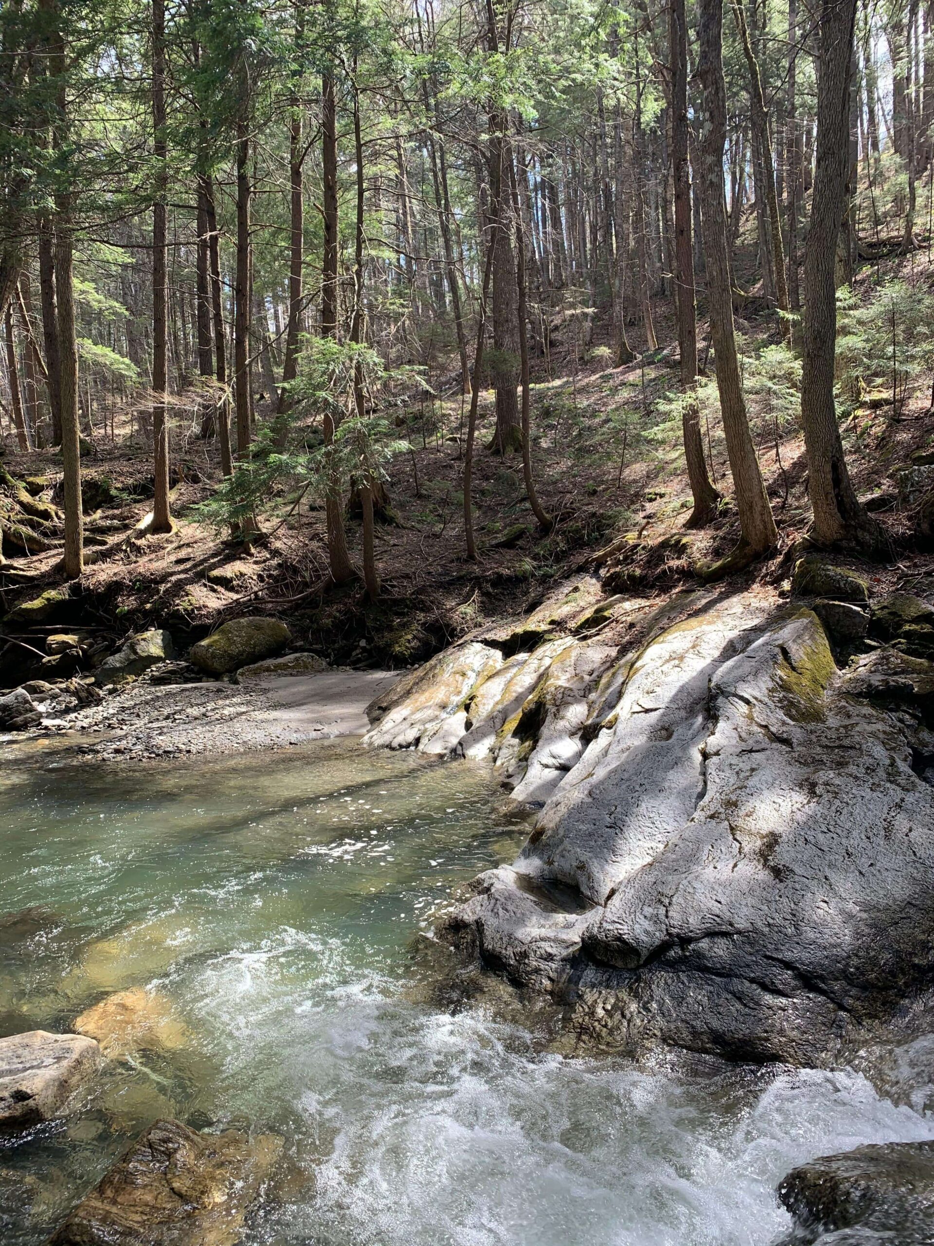 20 foot swimming hole
