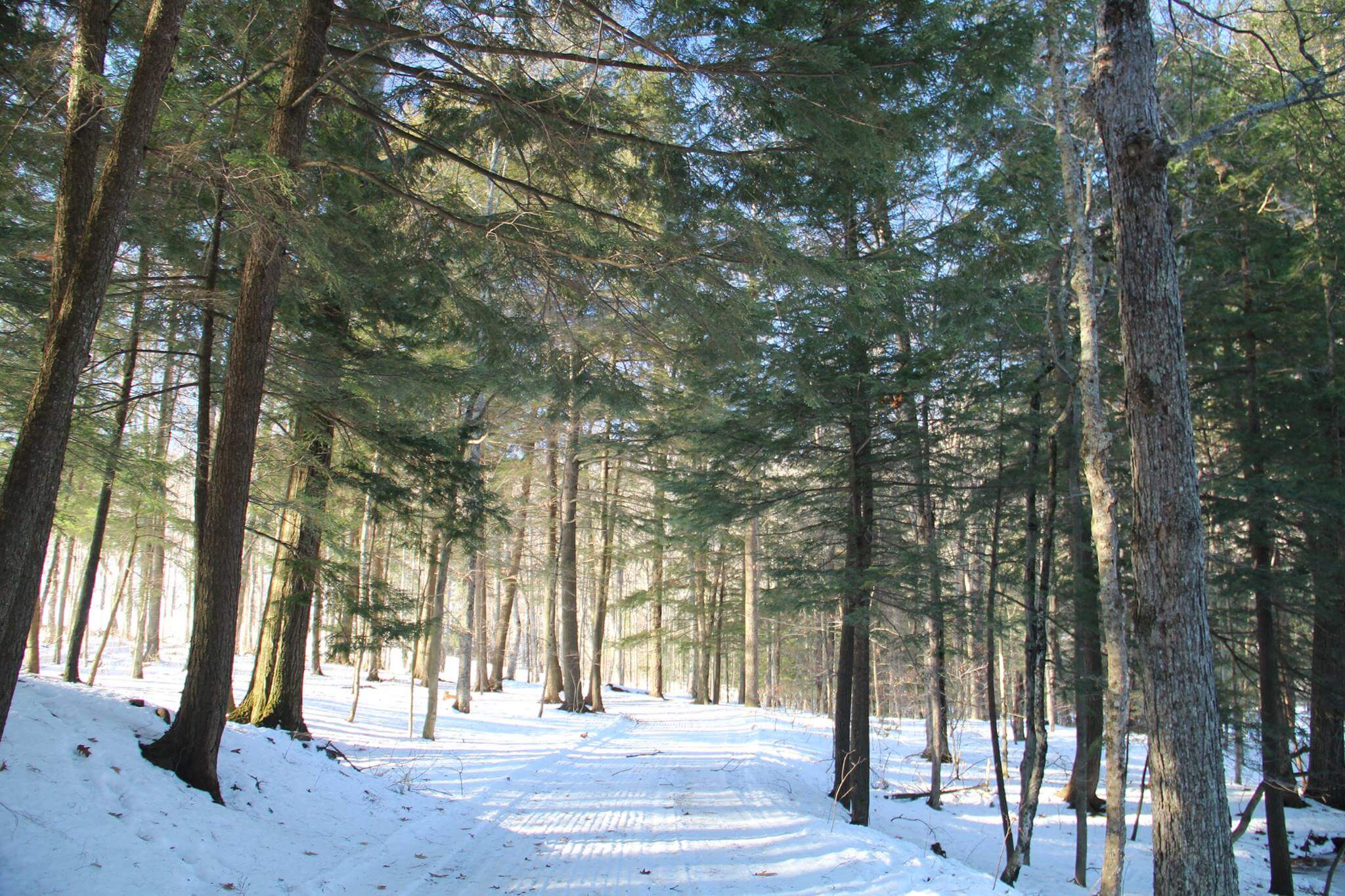 Marsh-Billings-Rockefeller NHP winter trails
