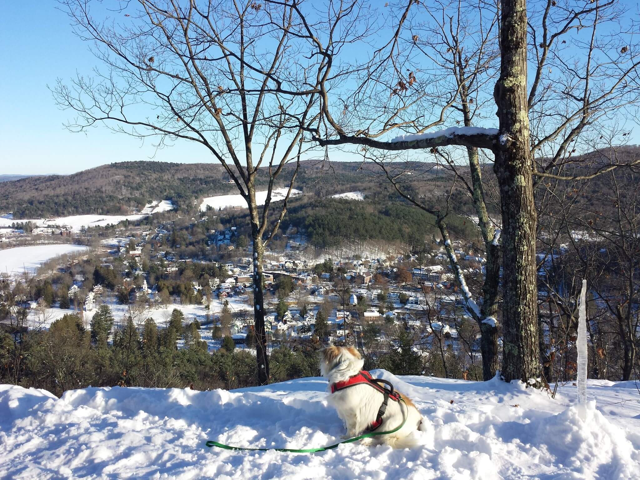 Snowy view from Mt Tom