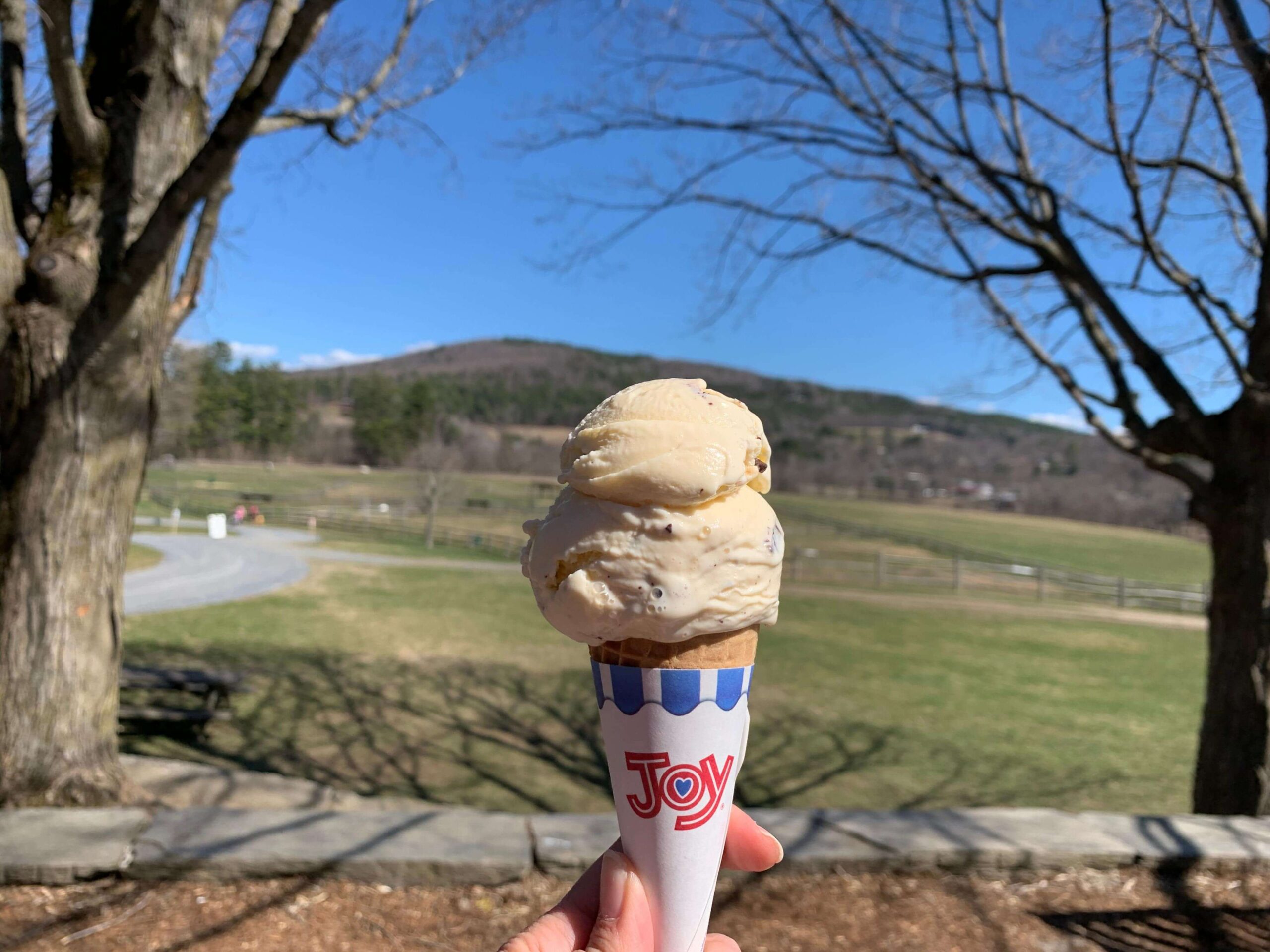 Ice Cream cone at Billings Farm