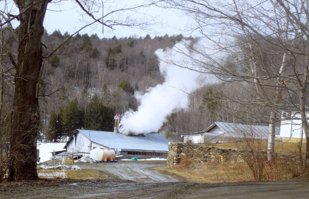 Sugaring season at Sugarbush Farm