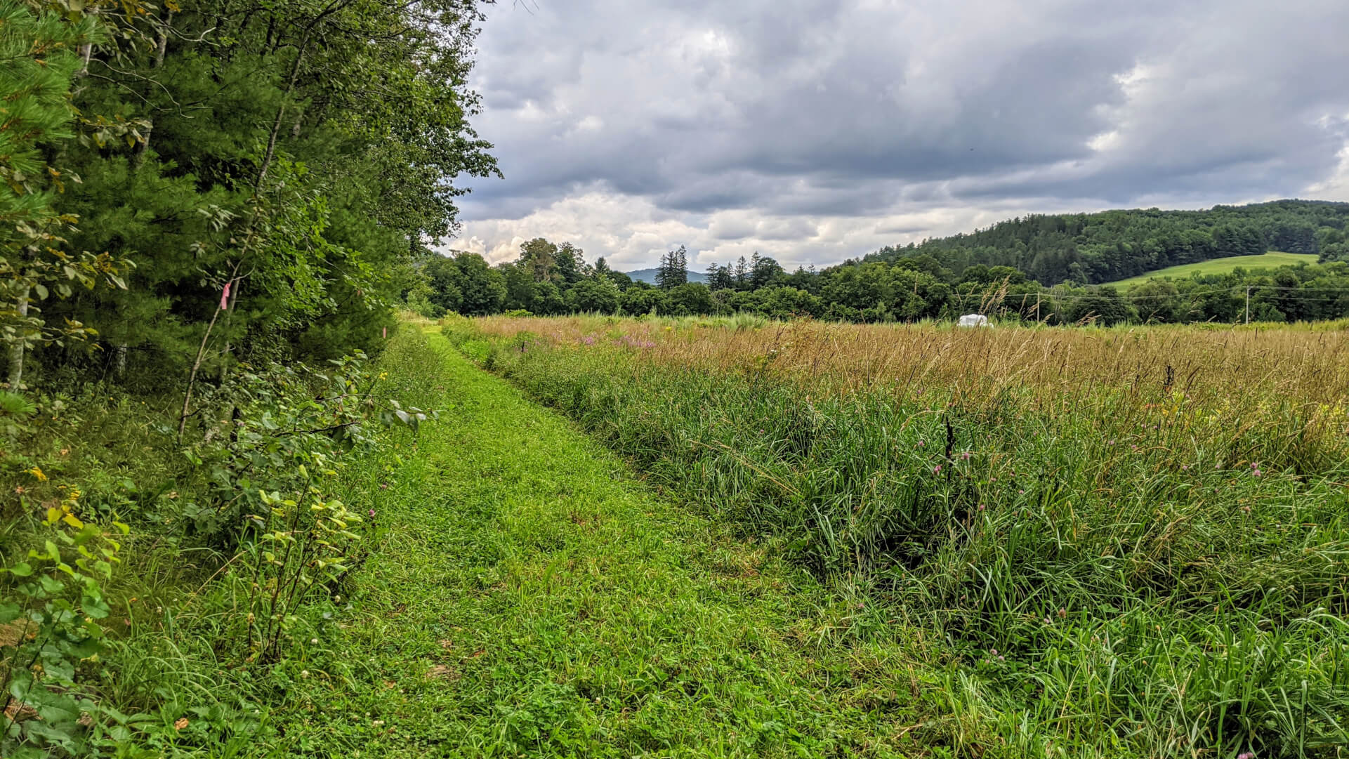 The Ottuaquechee River Trail field