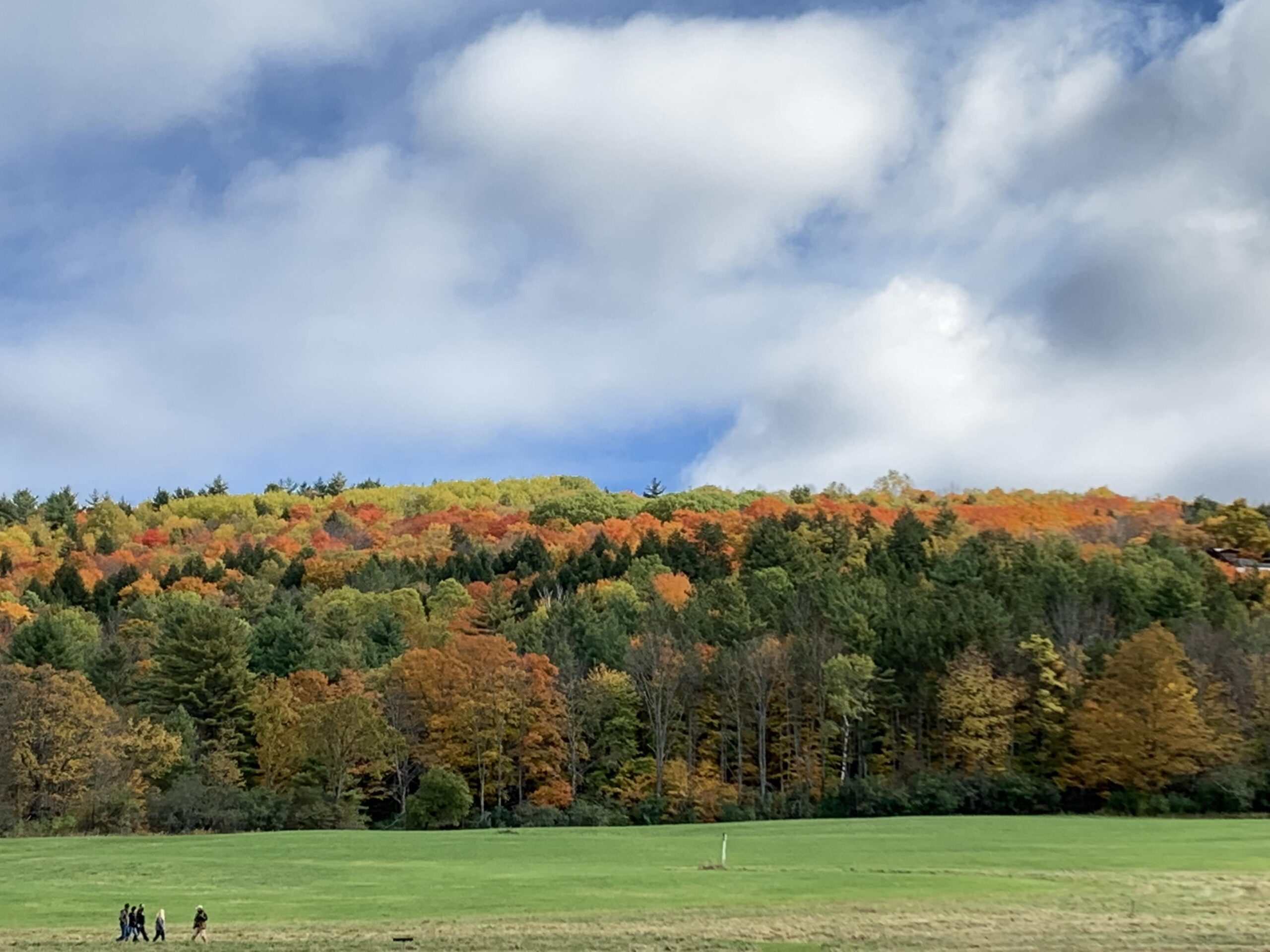 Fall view from the Falconry