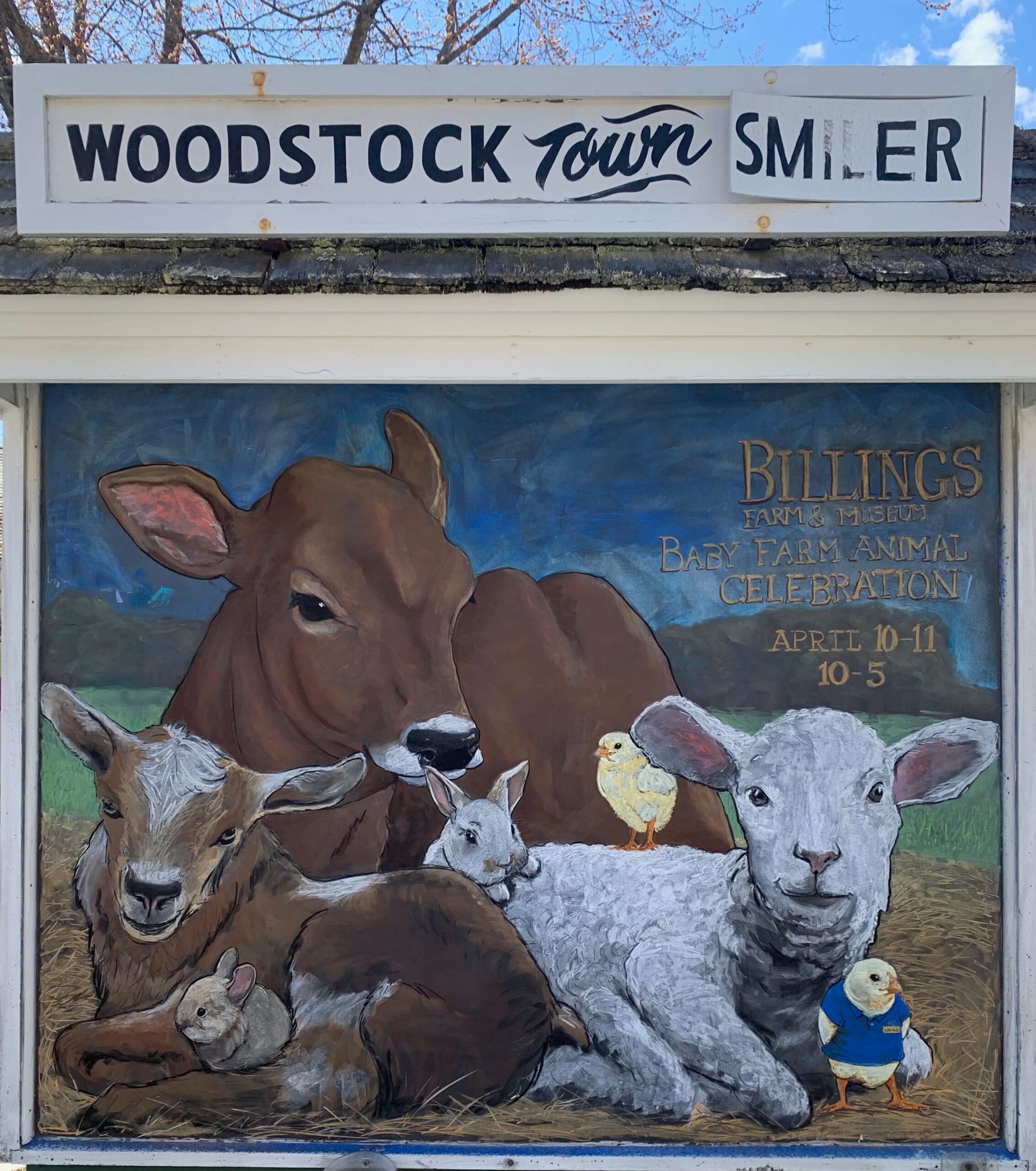 Drawing for Baby Animal Day