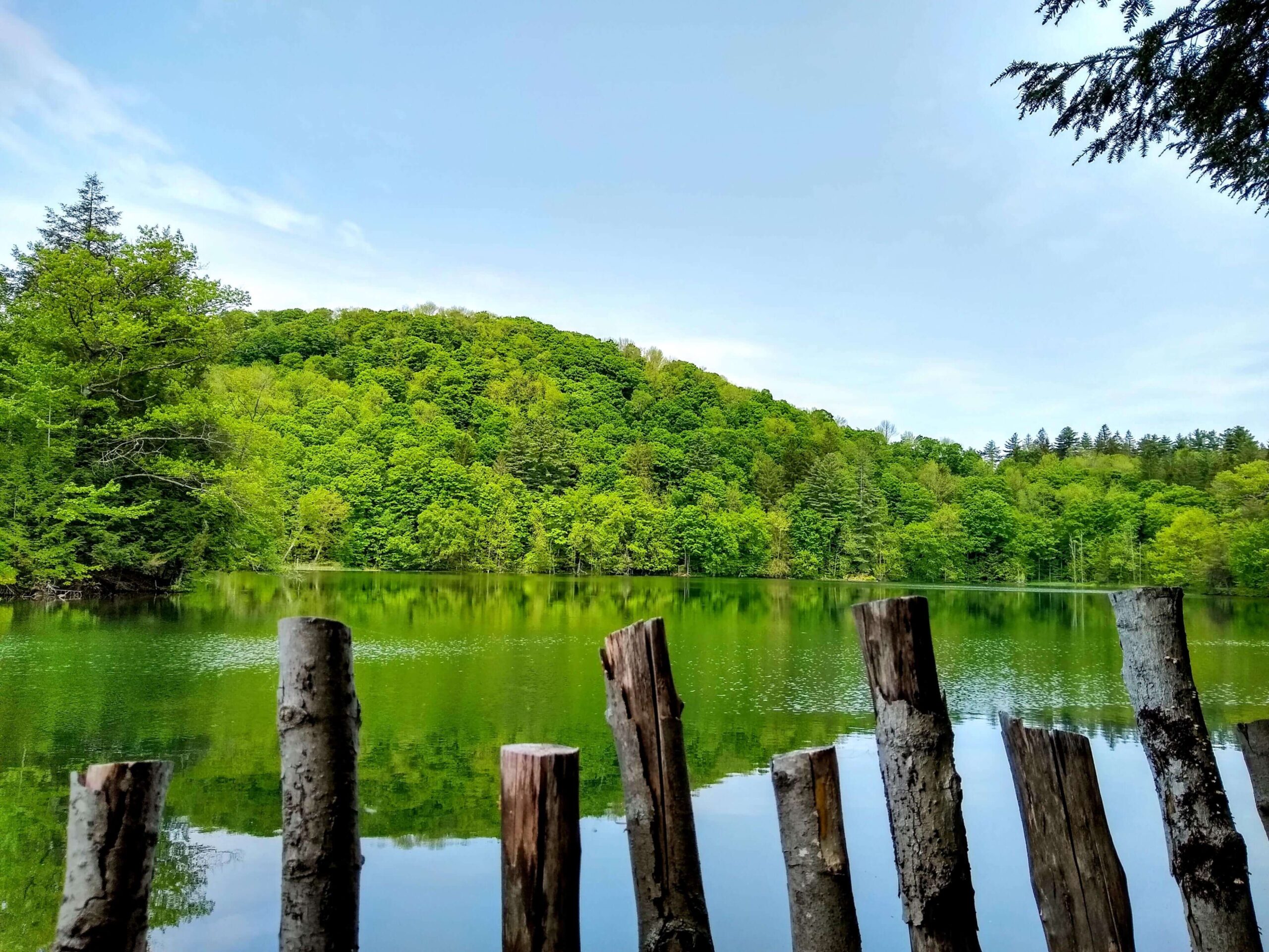 The Pogue in June lake view