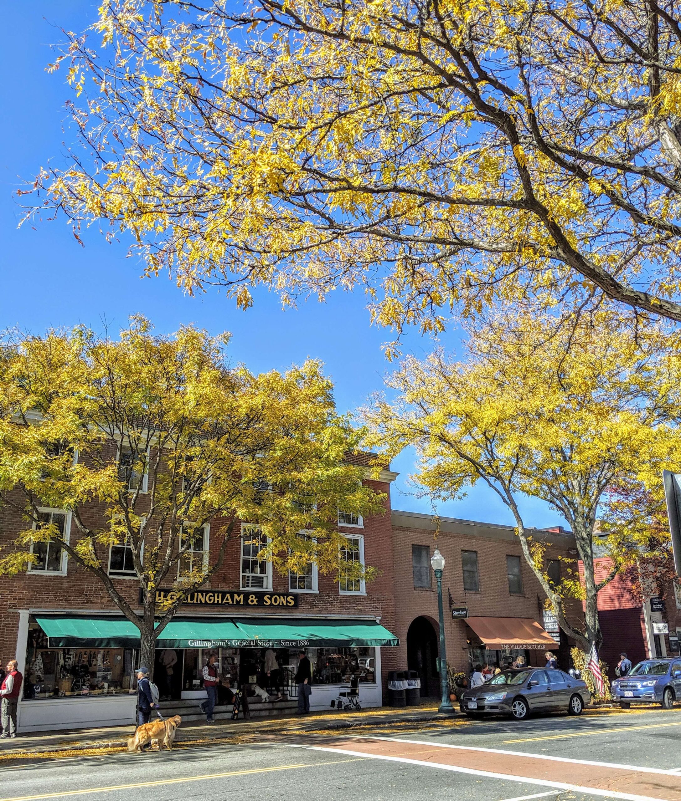 Elm Street shops fall foliage Gillingham's 