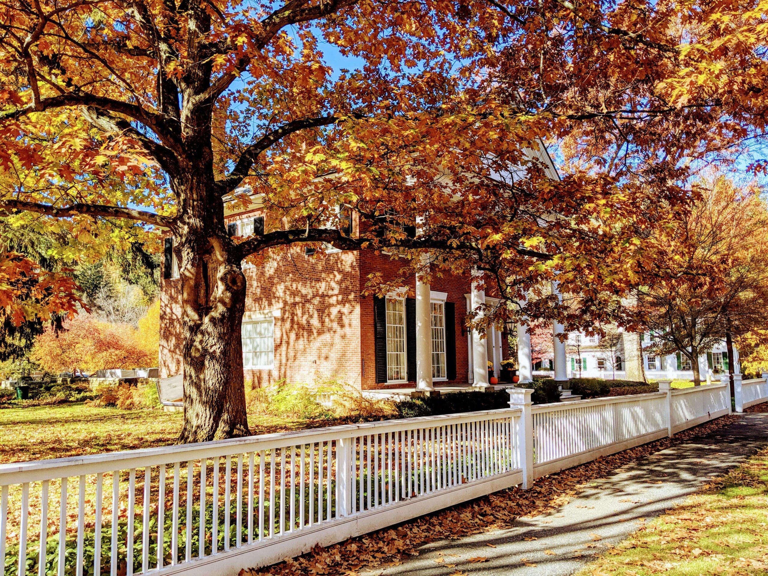Woodstock elm street house fall foliage
