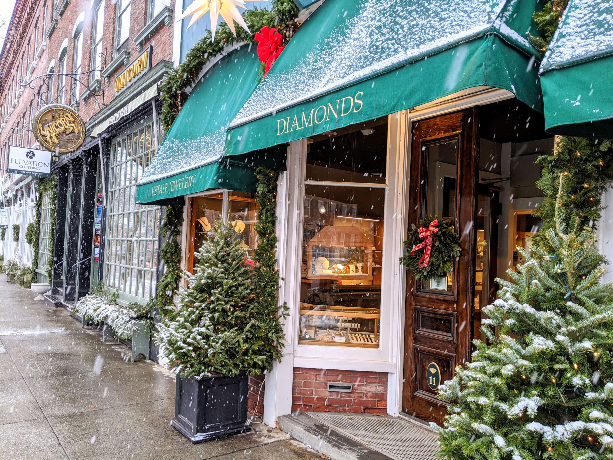 NT Ferro and Unicorn in snow winter